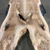 Elm Table Top with Live Edges