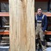 Sycamore Table Top with Live Edges