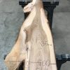 Elm small piece of timber #0119
