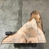 Elm small piece #0104