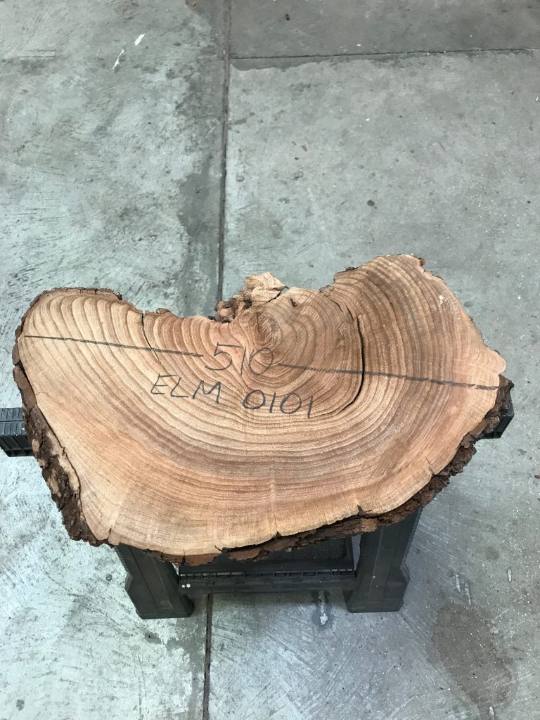 Elm small piece #0101