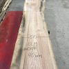 Elm plank #0117