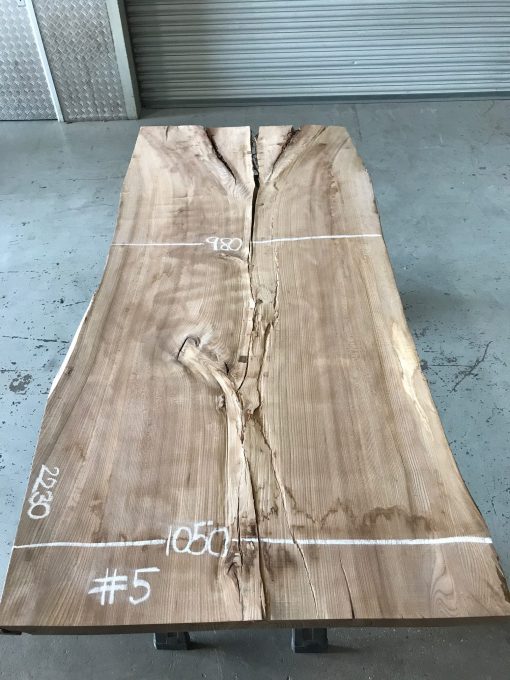 Elm #5 plank kiln dried. Rough sawn