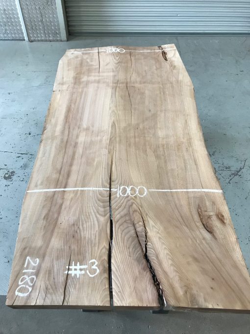 Elm #3 plank kiln dried. Rough sawn