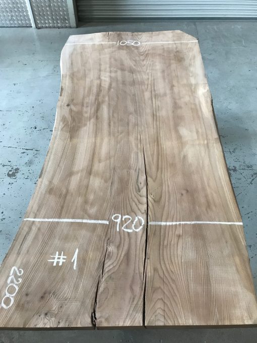 Elm #1 kiln dried and thicknessed