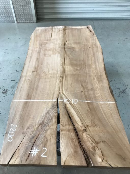 Elm #2 plank kiln dried. Rough sawn