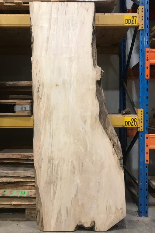 Sycamore Table Top Desk with Live Edges 54mm thick