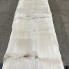 Sycamore #020 kiln dried timber plank