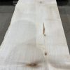 Sycamore #021 kiln dried timber plank