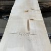 Sycamore #021 kiln dried timber plank