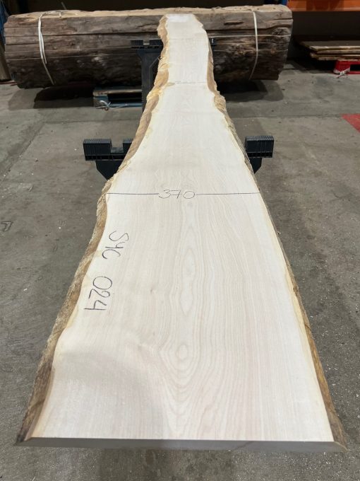 Sycamore #024 kiln dried timber plank