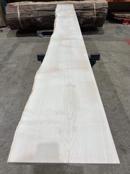Sycamore #023 kiln dried timber plank