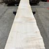 Sycamore #023 kiln dried timber plank