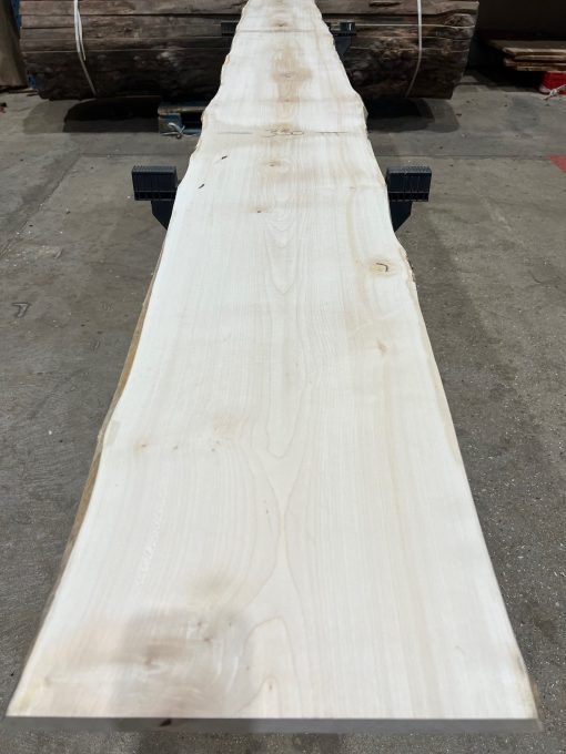 Sycamore #025 kiln dried timber plank