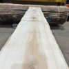 Sycamore #025 kiln dried timber plank