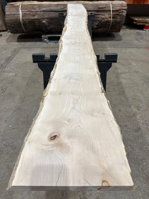 Sycamore #026 kiln dried timber plank