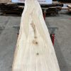 Sycamore #040 kiln dried timber