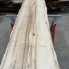 Sycamore 037 kiln dried timber plank