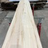 Sycamore 031 kiln dried timber plank