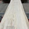 Sycamore #030 kiln dried timber