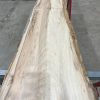 Sycamore 019 kiln dried timber plank