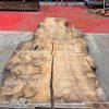 Burr Oak #030. Kiln dried slabs for making resin table tops