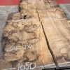 Burr Oak #030. Kiln dried slabs for making resin table tops