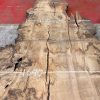 Burr Oak #030. Kiln dried slabs for making resin table tops