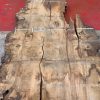 Burr Oak #030. Kiln dried slabs for making resin table tops