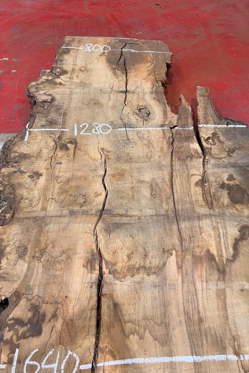 Burr Oak #030. Kiln dried slabs for making resin table tops