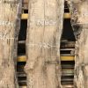 Beech slab #05