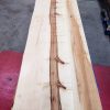 Sycamore Table Top with 1 Straight Edge