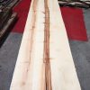 Sycamore Table Top with 1 Straight Edge