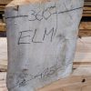Elm small piece