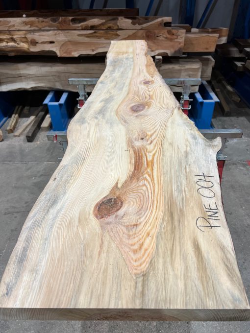 Pine #004