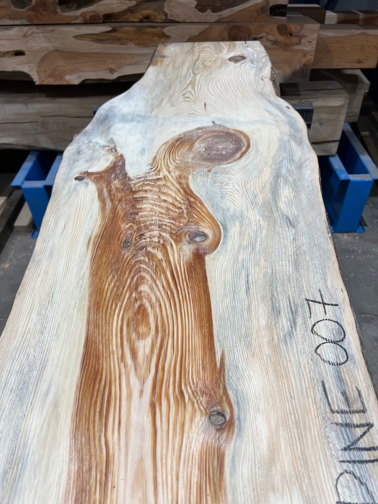 Pine #007