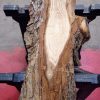 Elm small plank #0138