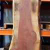 Sequoia plank #004