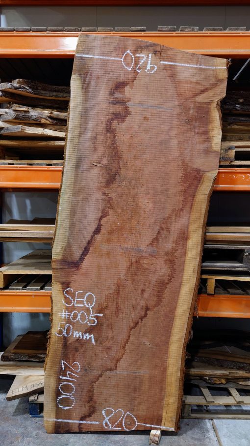 Sequoia #005