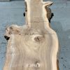 Elm #0128 kiln dried timber