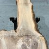 Elm #0129 kiln dried timber
