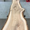 Elm #0130 kiln dried timber