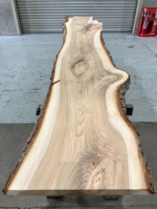 Elm #0130 kiln dried timber