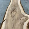 Elm #0130 kiln dried timber