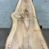 Elm #0130 kiln dried timber