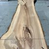 Elm #0130 kiln dried timber