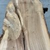 Elm #0130 kiln dried timber