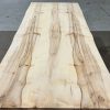 Sycamore Table Top with Live Edges Semi-Constructed