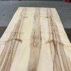 Sycamore Table Top with Live Edges Semi-Constructed