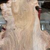 Elm #007 piece of kiln dried wood for sale
